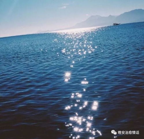  朋友圈治愈情话之190105
