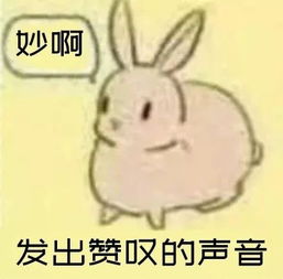  是追梦者也是自己的圆梦人,勇于创新的青年欢乐多