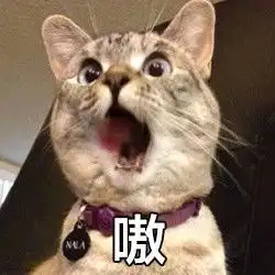  可爱小猫咪表情包