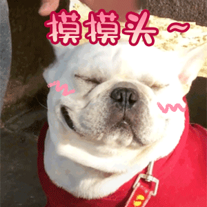  一组超萌撩对象表情包gif发射爱的信号,亲亲我的小可爱