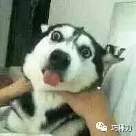  巧棵力之绝世舞功篇