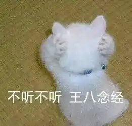  女朋友是猫,虽然傲娇,但是你在外面拈花惹草她都知道