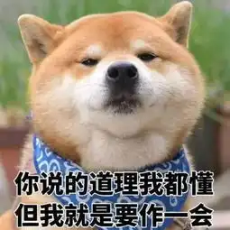  养狗之后,每天都要说的几句话,是你么