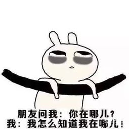 有关八格牙路的表情包兔