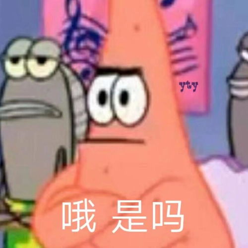  闲鱼账号为什么会被限制