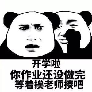  马上要开学了,没写完作业的你怎么办