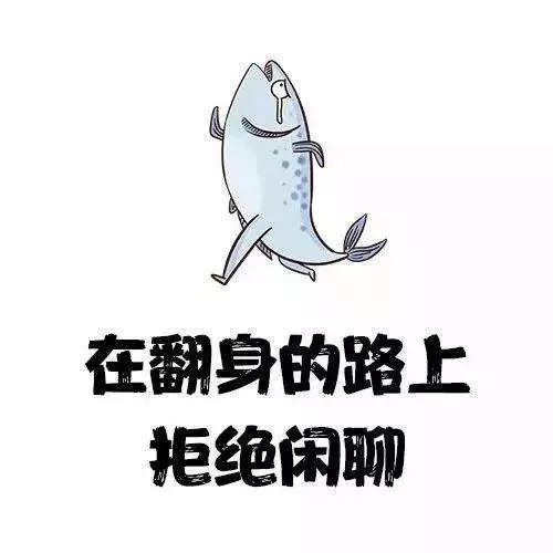  手机插排堪称设备万能助手啊