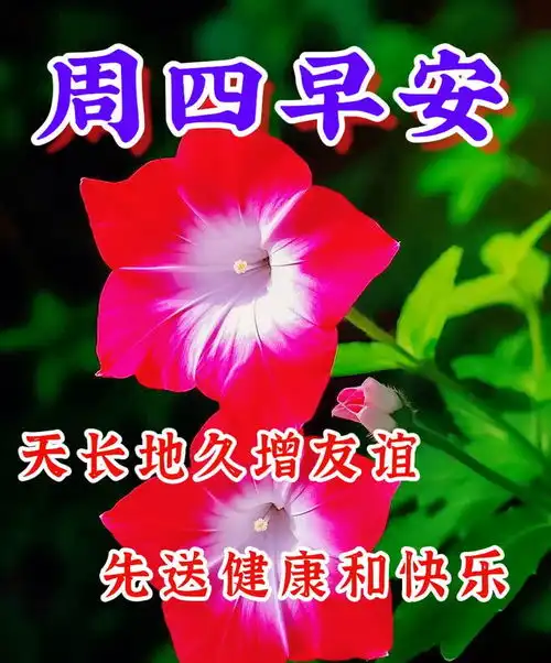  8.15周四早安祝福语一声问候有情有意有祝福愿我们健康快乐每日,周四早安清晨晨曦幸福喜乐二战网易订阅