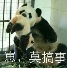  生活有一千种方法搞死社畜,我用37张表情包平息你的愤怒