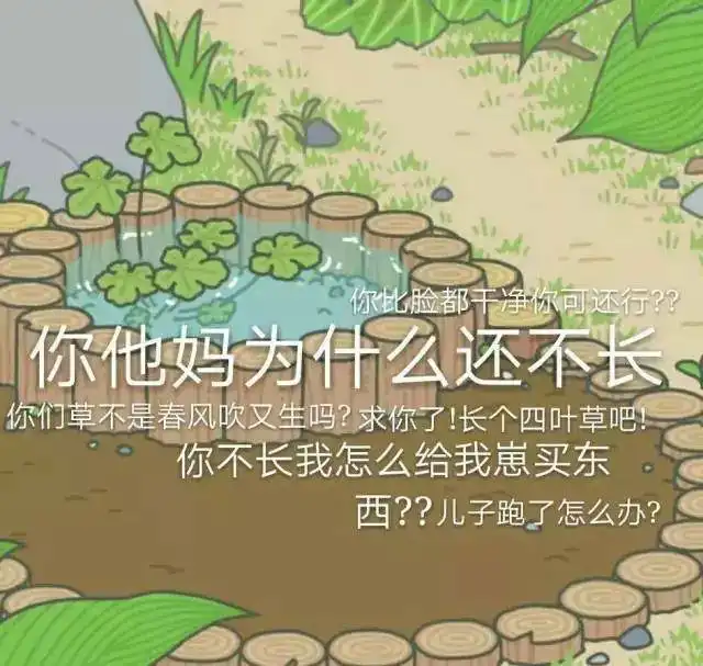  青蛙旅行好可爱,好想和你一起打瞌睡