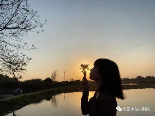  最美诗歌,十二人十二首2022260期