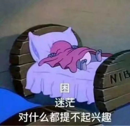 和闺蜜用表情包对暗号日