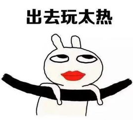  一入表情包深似海,从此斗图是家常