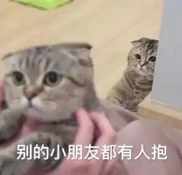  果真人不可貌相,这个看脸的社会骗得我好苦