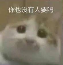  我只会心疼giegie