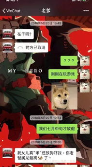  爸妈的脑洞有多大和爸妈发表情包聊天,结果真是防不胜防啊