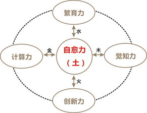  软件解密报价厂家