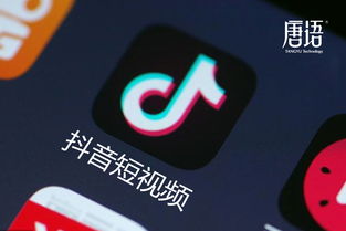  抖音头条全面开放小程序入口