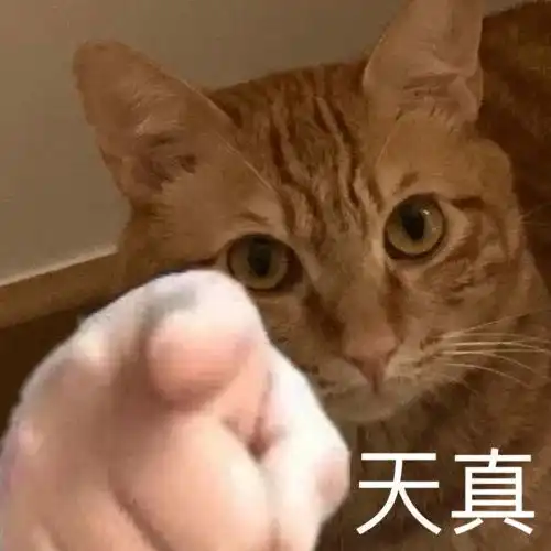  抖音超火的指人表情包指到谁请我喝奶茶