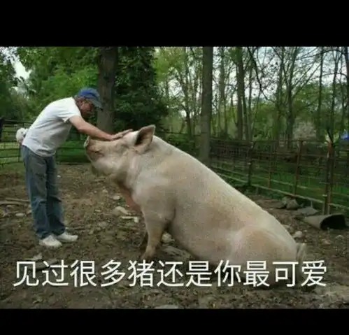  北京国际机场