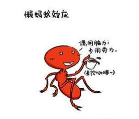  好老板,都很会偷懒