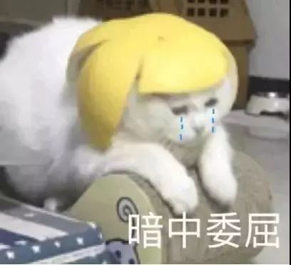  表情包你这样对得起你的良心吗