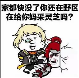  游戏玩的烂表情包怼他家都快没了你还在野区,给你妈采灵芝呢