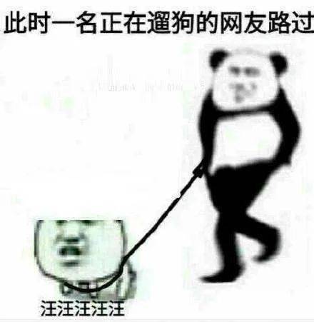 起飞表情包遛狗