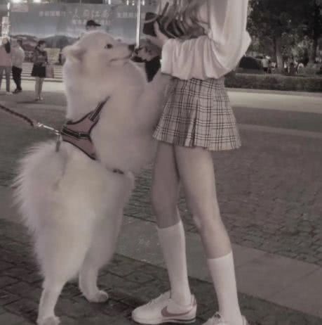 闺蜜头像御姐高冷真人一
