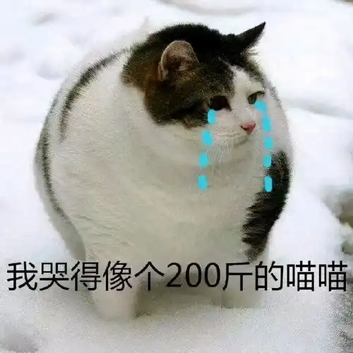  剑网三求情缘炸烟花,深夜念书哄睡,老板你这情缘甜到掉牙了
