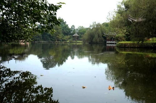  安徽最低调5a景区,距黄山市区仅20分钟车程,风景不输宏村西递