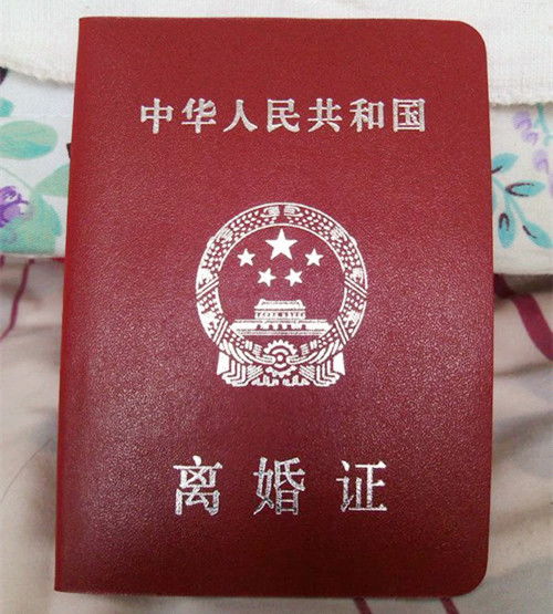  离婚后领养一孩,我接前婆婆来家住,养子的一句话,婆婆红了眼眶