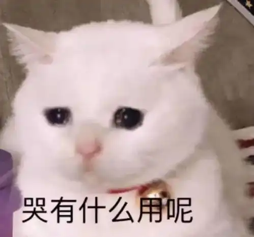  一张路透吸粉无数,但看到剧里的她,我傻了