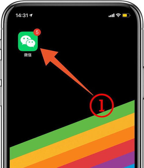 你知道iphone还可以称重吗好多人都不知道,快来试试吧