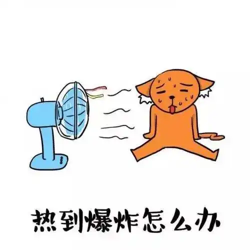  成都人,高温,正式开始幸运的是