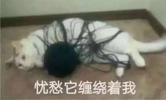  打摆子冷空气拢了,自贡平均气温降了58度