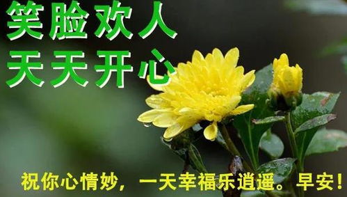  6月夏天早上好表情动态鲜花图片大全问候语早上好表情动态2020