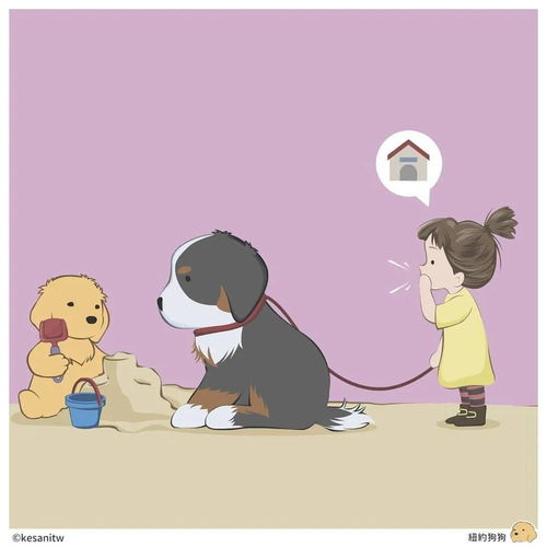  超治愈狗狗和猫猫吵架了,后来猫猫主动示好,可结果