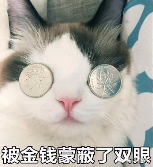  加拿大情侣中了610万大乐透本来这么开心的事,可是随后的狗血剧情谁也没料到