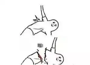  笑skr人,艺术生的表情包,一个比一个沙雕