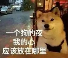  工具人表情包我不是真的人,但你是真的狗