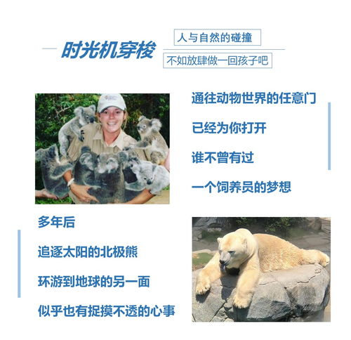  澳大利亚11日9晚私家团5钻悉大哈利波特魔法楼歌剧院入内神仙小企鹅归巢q1塔登临天际之顶携程旅游