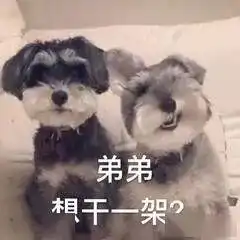  最差战绩还交最多的税这球队也太惨了