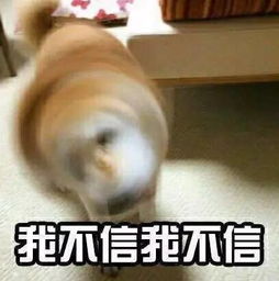  上栗终于要和太阳肩并肩直奔34高温但还有6个坏消息...
