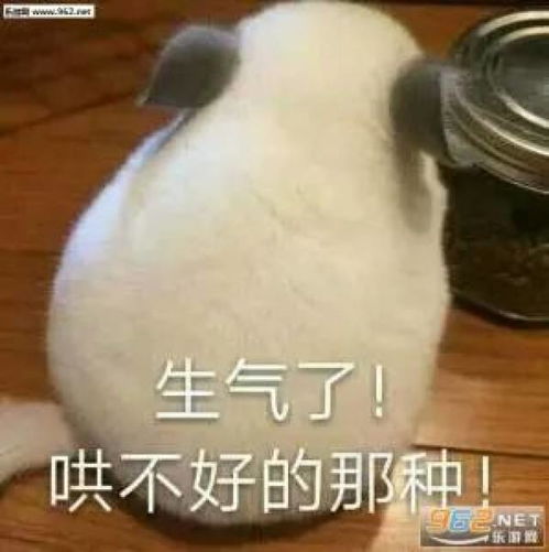  男朋友手机里的秘密,呵呵呵呵男人