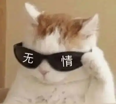  诸城交警拿来吧你