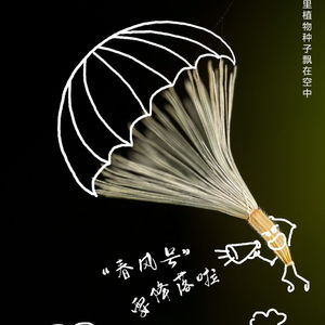  惊蛰到,海南自然界头像上新了