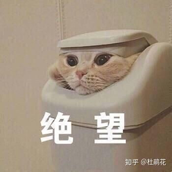  怎么更快的治好疥疮
