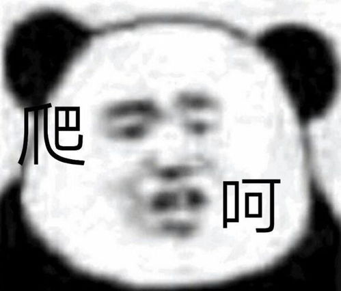  新一期熊猫头表情包来了