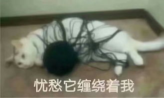  你们见过最虐单身狗的行为是什么
